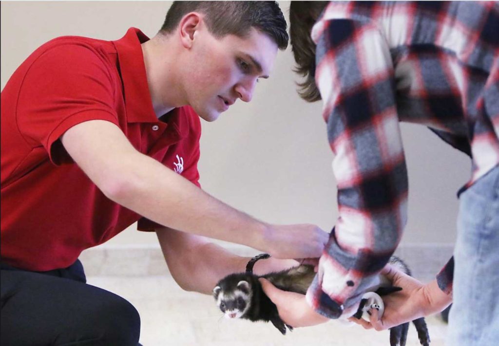 From terra firma to outer space, NNU student solves problems