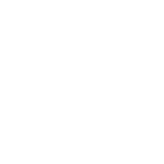 WorldSkills USA logo. White